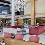 Hotel Anemon Grand