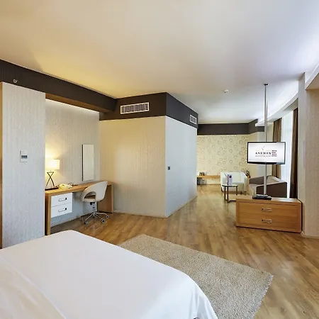Anemon Grand Hotel Adana