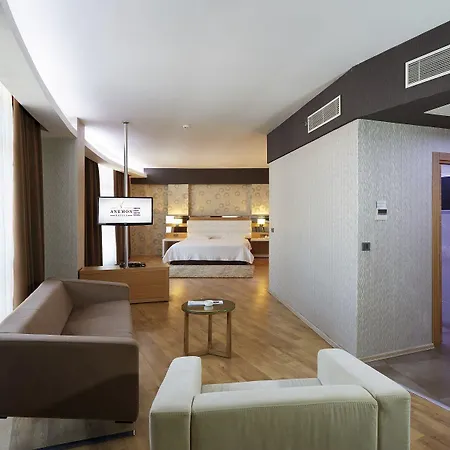 Hotel Anemon Grand