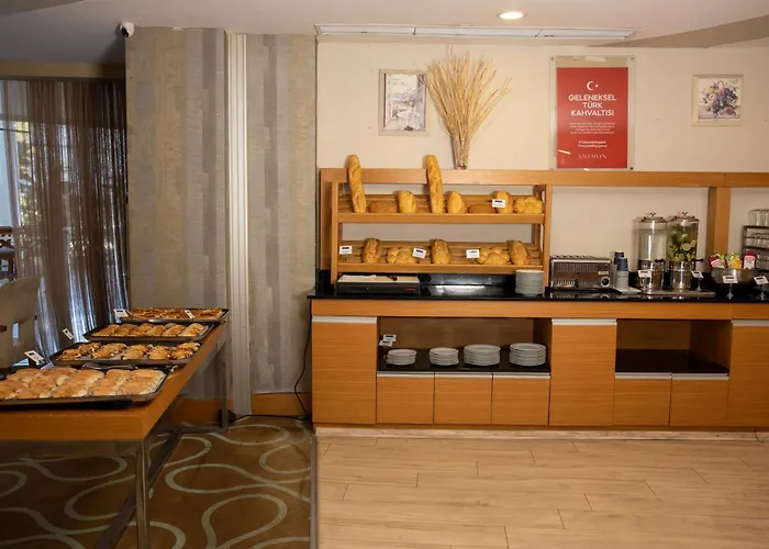 Hotel Anemon Grand Adana